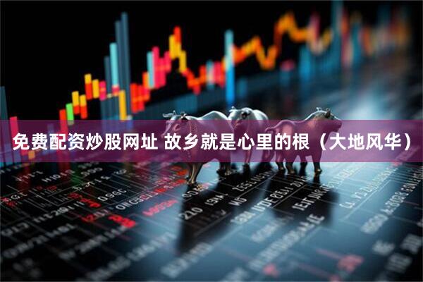 免费配资炒股网址 故乡就是心里的根（大地风华）
